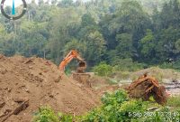 Sejumlah alat berat excavator beraktivitas di kawasan hutan Taluditi Diduga untuk Tambang Ilegal. Foto: Bercak.Id