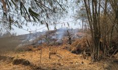 Pani Gold Mine Turun Tangan Padamkan Kebakaran Lahan di Hulawa, Api Sempat Ancam Permukiman