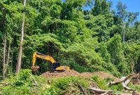 Alat berat excapator diduga beroperasi untuk tambang ilegal di kawasan hutan bugu, pohuwato,gorontalo. Foto:Istw