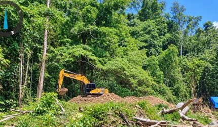Alat berat excapator diduga beroperasi untuk tambang ilegal di kawasan hutan bugu, pohuwato,gorontalo. Foto:Istw